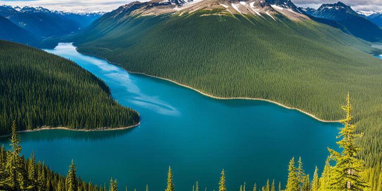 The History of British Columbia: From Colonization to Today Cultural Heritage & History history of british columbia
